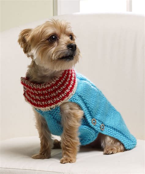 dog jumpers for women.